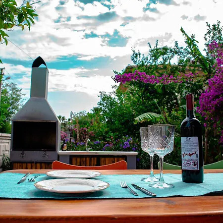 Villa Dalyan In Heart Of The Aegean